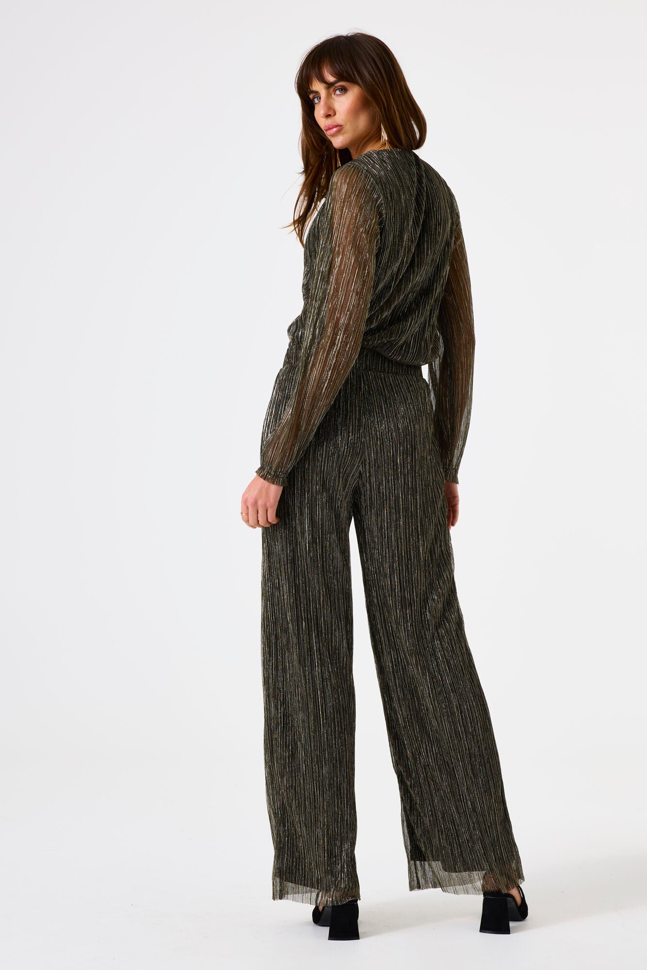 Upload image to gallery, Pleated Glitter Blouse with Sheer Sleeves - Garcia
