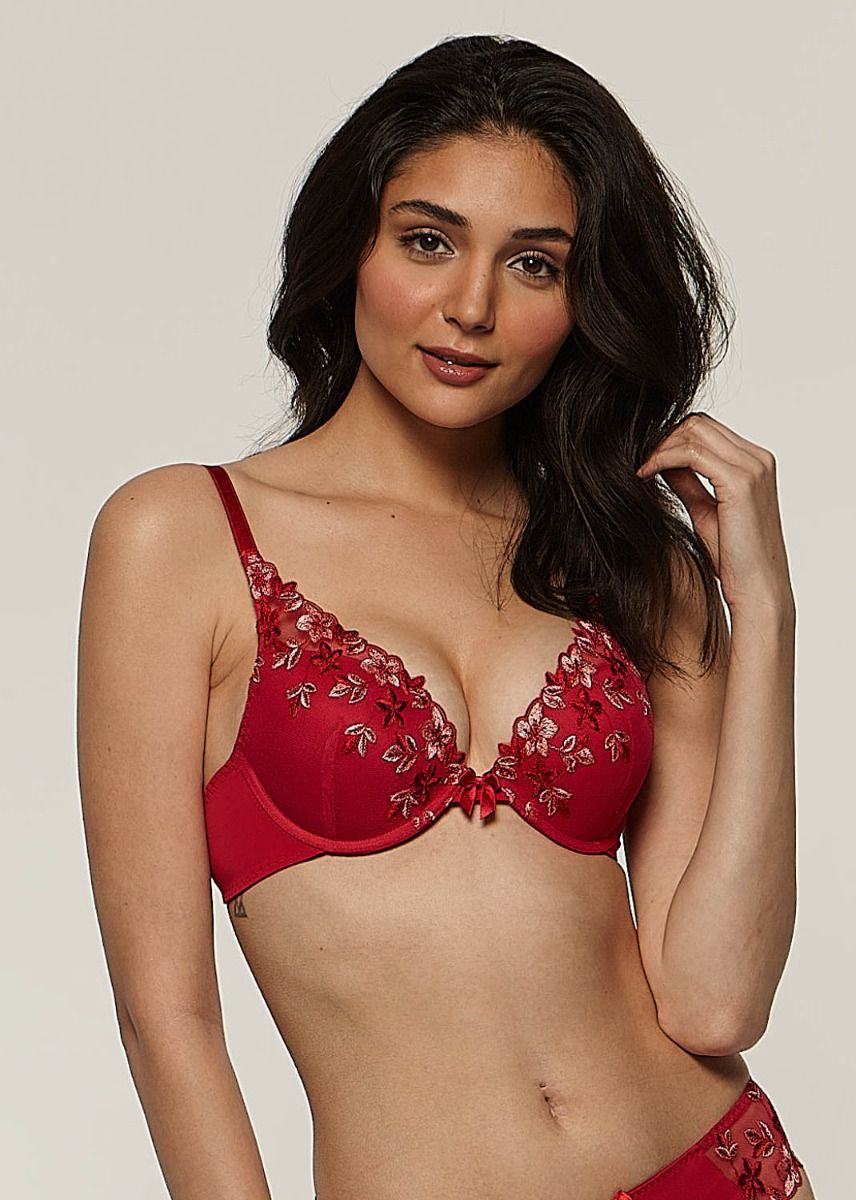 Underwired 3-tone embroidered push-up bra